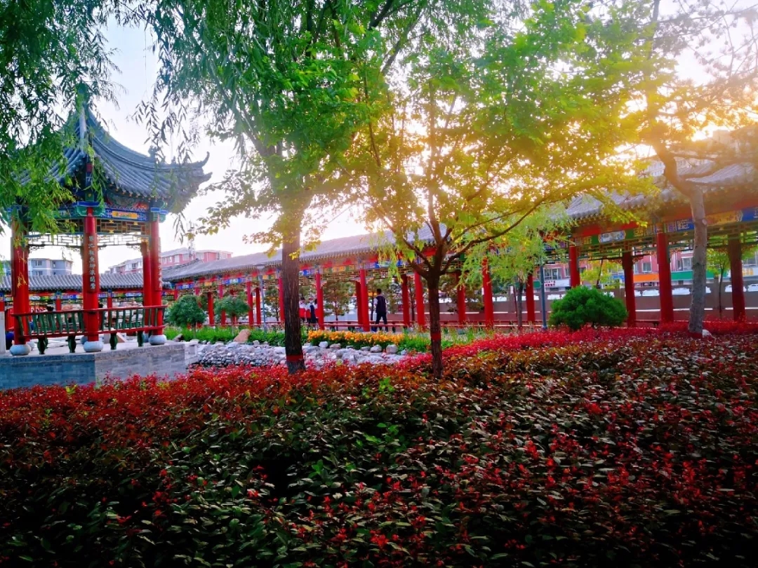 標(biāo)題：百年黌學(xué)綻新彩，辛勤換得花滿園
瀏覽次數(shù)：687
發(fā)表時(shí)間：2020-07-22