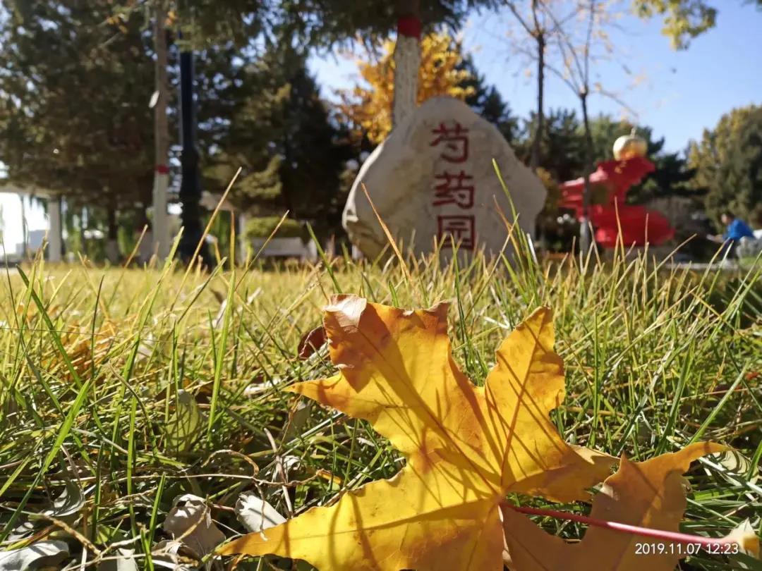 標題：“最美一中”攝影比賽獲獎美圖等你來贊！
瀏覽次數(shù)：1140
發(fā)表時間：2020-12-29